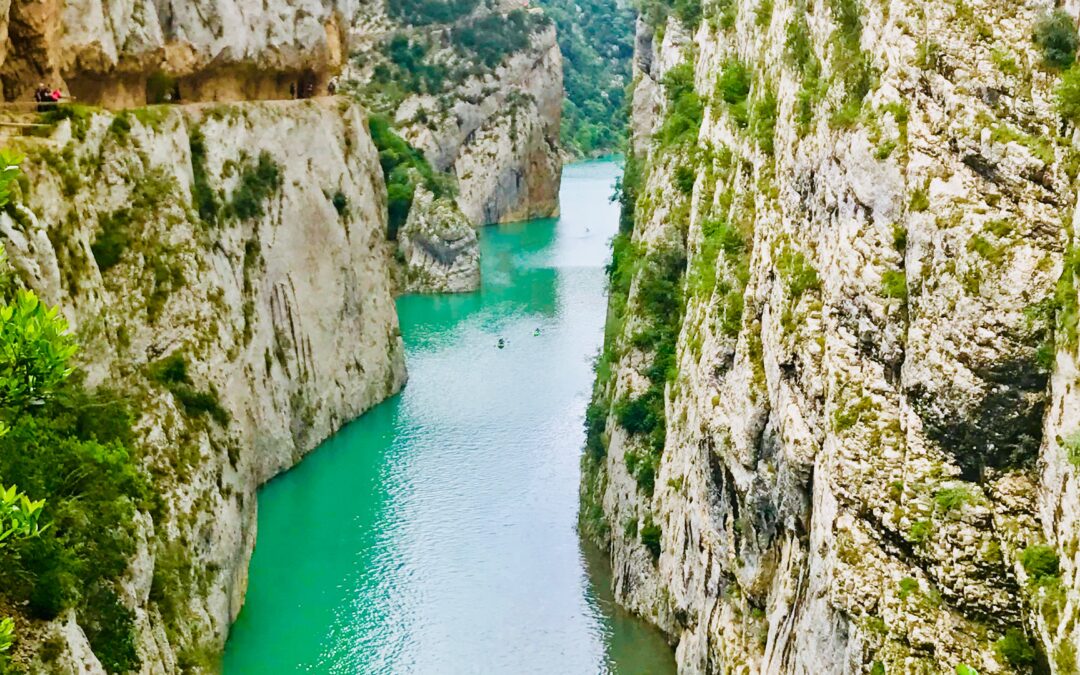 Que Faire à Valensole et ses Environs : Une Immersion Authentique en Provence