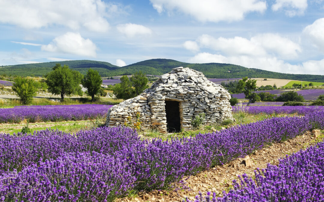 Découvrez les Paysages et Sites Remarquables des Alpes de Haute-Provence